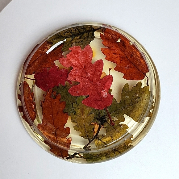 Lucite Fall Leaves Coasters - Picture 3 of 9